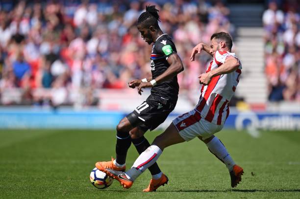 培养年轻球 培养年轻球