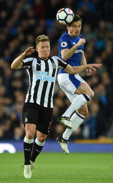 仅揭示了明 仅揭示了明